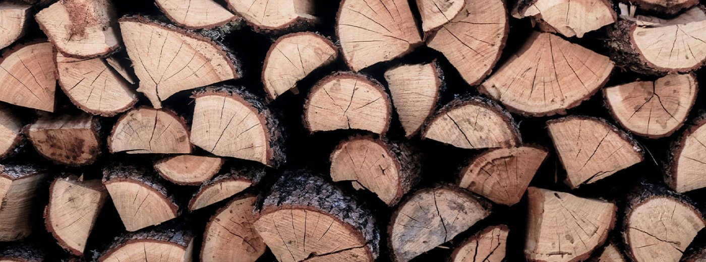 Couscous Dwaal Posters Wat is de goedkoopste vorm van verwarming - elektriciteit of het verbranden  van hout? | Jotul